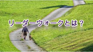 リーダーウォークとは?【その意味や必要性について】
