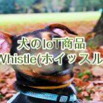 犬のIoT商品「Whistle(ホイッスル)」とは?【犬の首輪型の健康管理ツール】