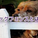 「ドッグフェンス」って何?野外用と室内用がある?【子犬におすすめのAmazonの人気商品も紹介】