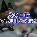 犬の口輪(犬用マズル用品)とは何か?【種類や注意点なども解説】
