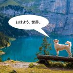 ミックス犬「チワズー」ってどんな小型犬?【値段や性格、特徴をまとめました!】