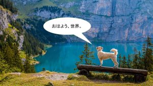 ミックス犬「チワズー」ってどんな小型犬?【値段や性格、特徴をまとめました!】