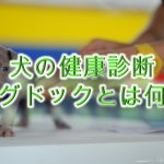犬の健康診断「ドッグドック」とは何か?【わかりやすく解説】