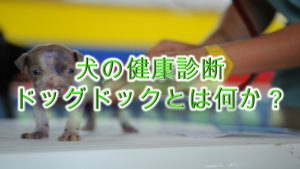 犬の健康診断「ドッグドック」とは何か?【わかりやすく解説】
