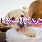 ペットツーリズムとは?【愛犬を旅行へ連れていきたい愛犬家は要チェック】