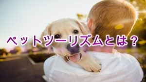 ペットツーリズムとは?【愛犬を旅行へ連れていきたい愛犬家は要チェック】