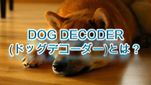 DOG DECODER(ドッグデコーダー)とは?【愛犬のしぐさから気持ちを知る方法】