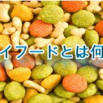 ドライフードとは何か?【いつから子犬に食べさせるべき?】
