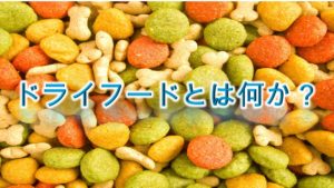ドライフードとは何か?【いつから子犬に食べさせるべき?】