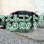 犬のマズルコントロールとは何か?