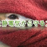 犬を静電気から守る方法