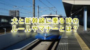 犬と新幹線に乗る時のルールやマナーとは?