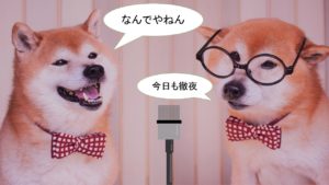 犬の笑顔について【犬は心から笑わない?笑う?】