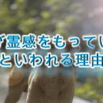 犬が霊感をもっているといわれる理由
