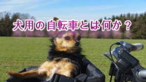 犬用の自転車とは何か?
