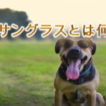 犬用サングラスとは何か?
