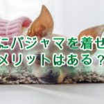 犬にパジャマを着せるメリットはある?