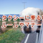 犬とタクシーに乗る時のルールやマナー