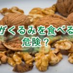柴犬がくるみを食べると危険？【柴犬のくるみの注意点】